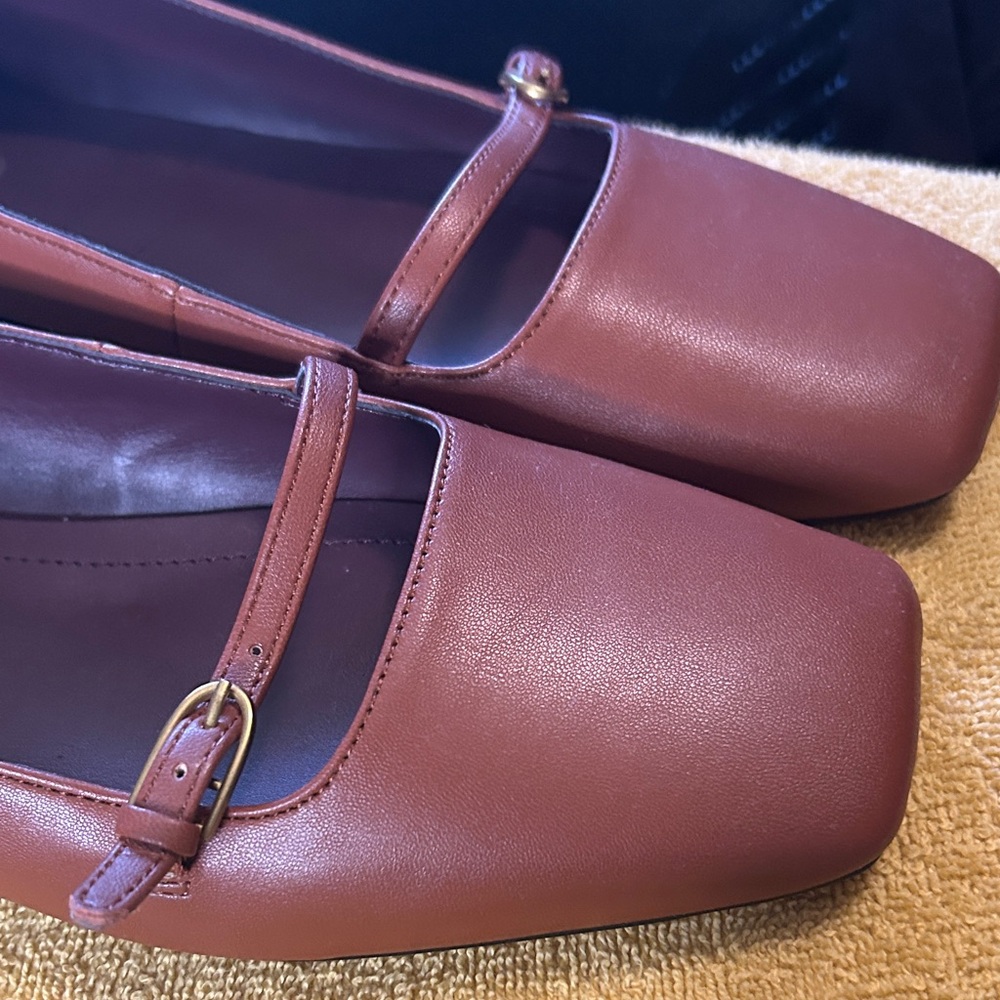 Franco Sarto Brown Mary Jane Flats